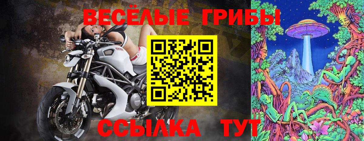 сколько стоит  Галлюциногенные грибы мухоморы  Галлюциногенные грибы MAGIC MUSHROOMS  Вход с VPN  Белорецк 